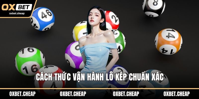 Cách thức vận hành lô kép chuẩn xác